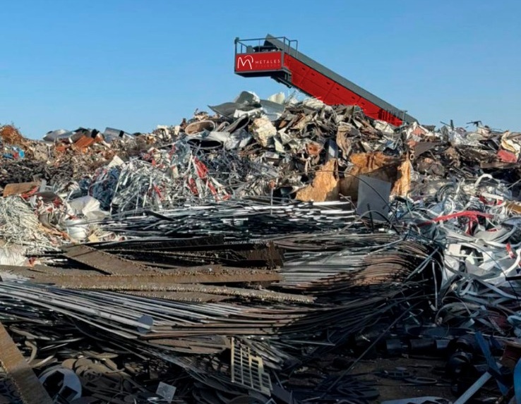 retirada-de-arboles-residuos-forestales-valladolid-2